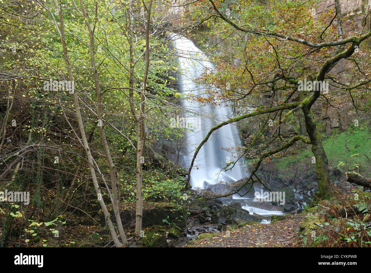 Melincourt cascade, Resolven, Neath, South Wales, UK Banque D'Images Melincourt cascade, Resolven, Neath, South Wales, UK Banque D'Images