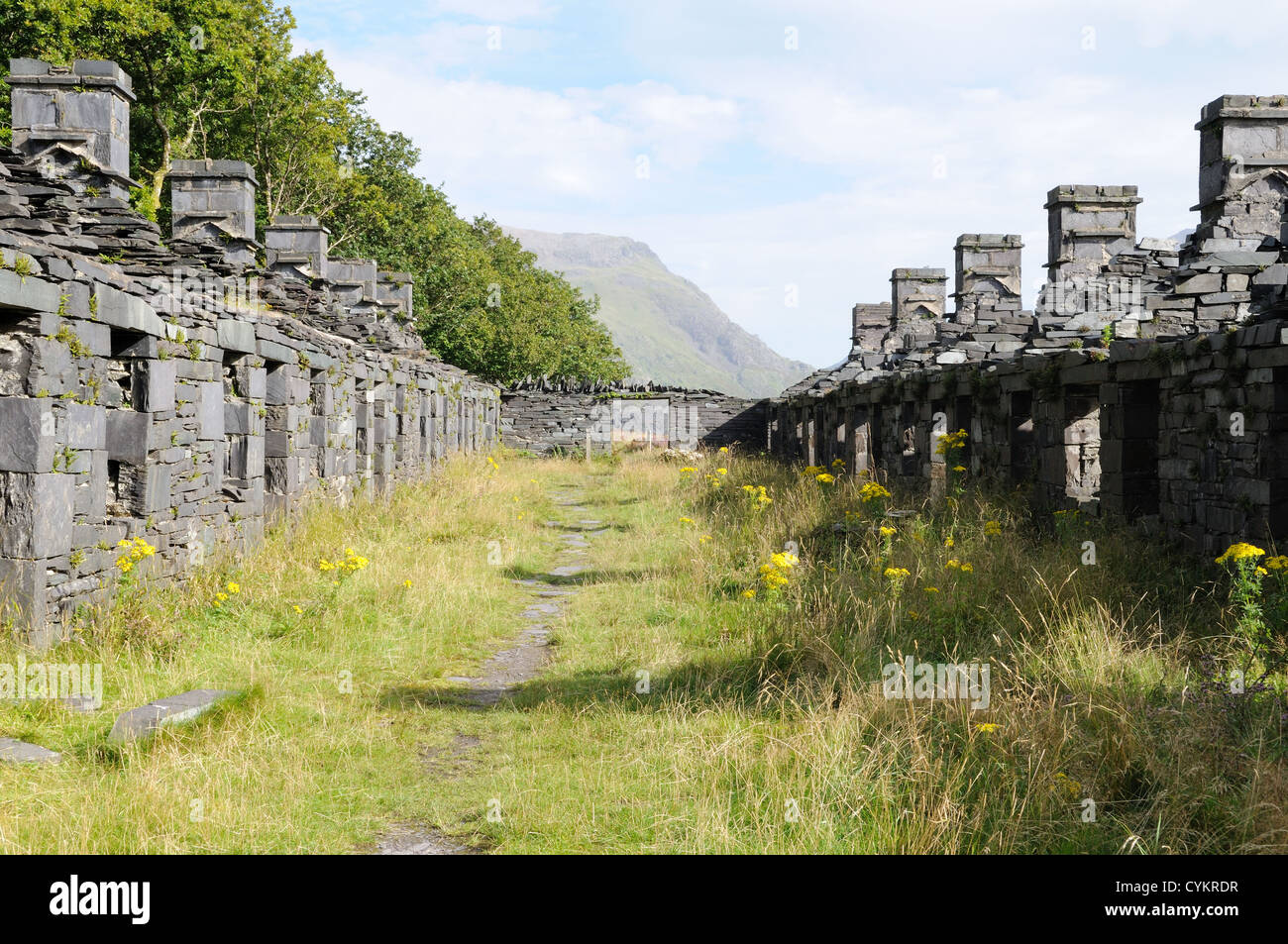 Ruines de la caserne d'Anglesey carriers's cottages Dinorwig Ardoise Elidir Fawr Llanberis Snowdonia, Pays de Galles Cymru UK GO Banque D'Images