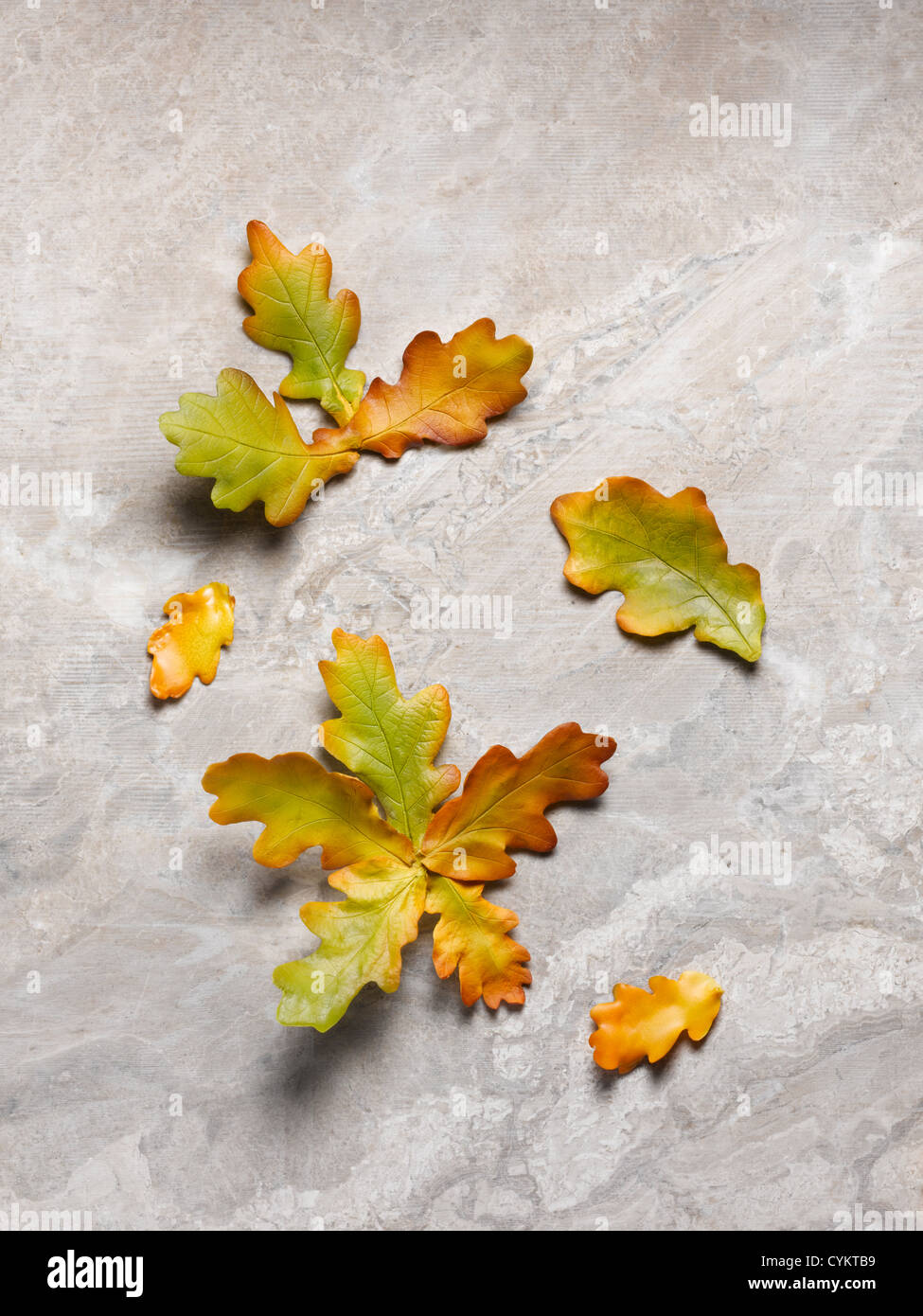 Close up of Autumn Leaves Banque D'Images