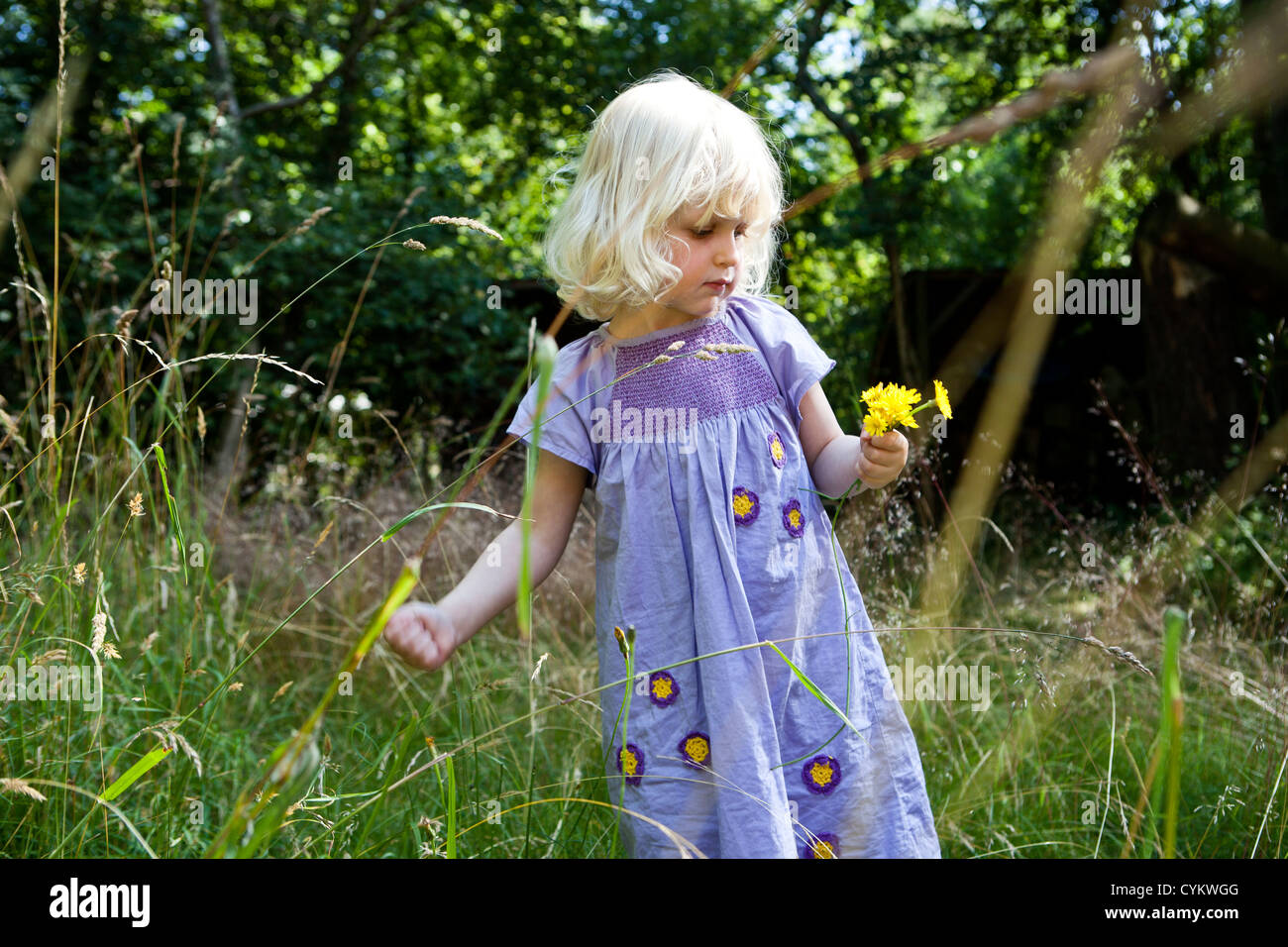 Girl Picking Flowers outdoors Banque D'Images