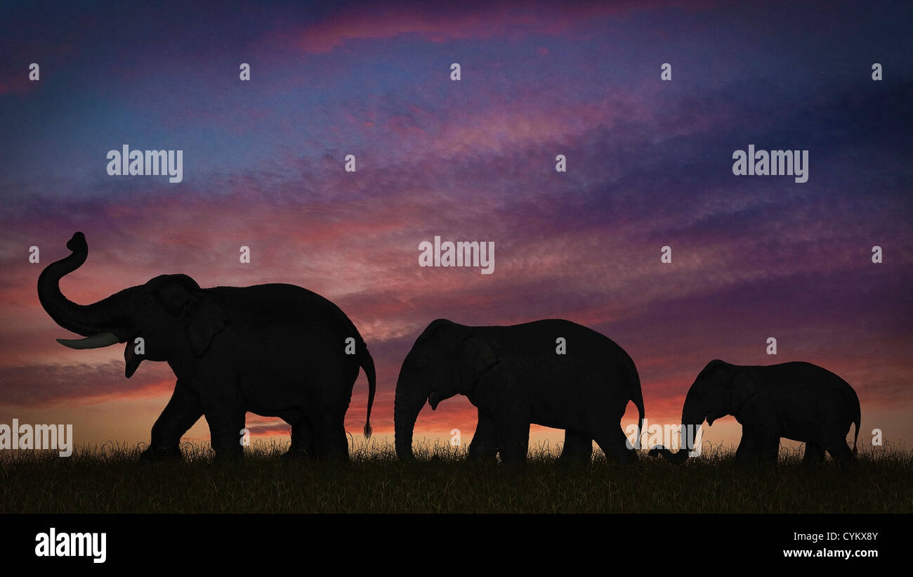 Silhouette d'éléphants against sky Banque D'Images