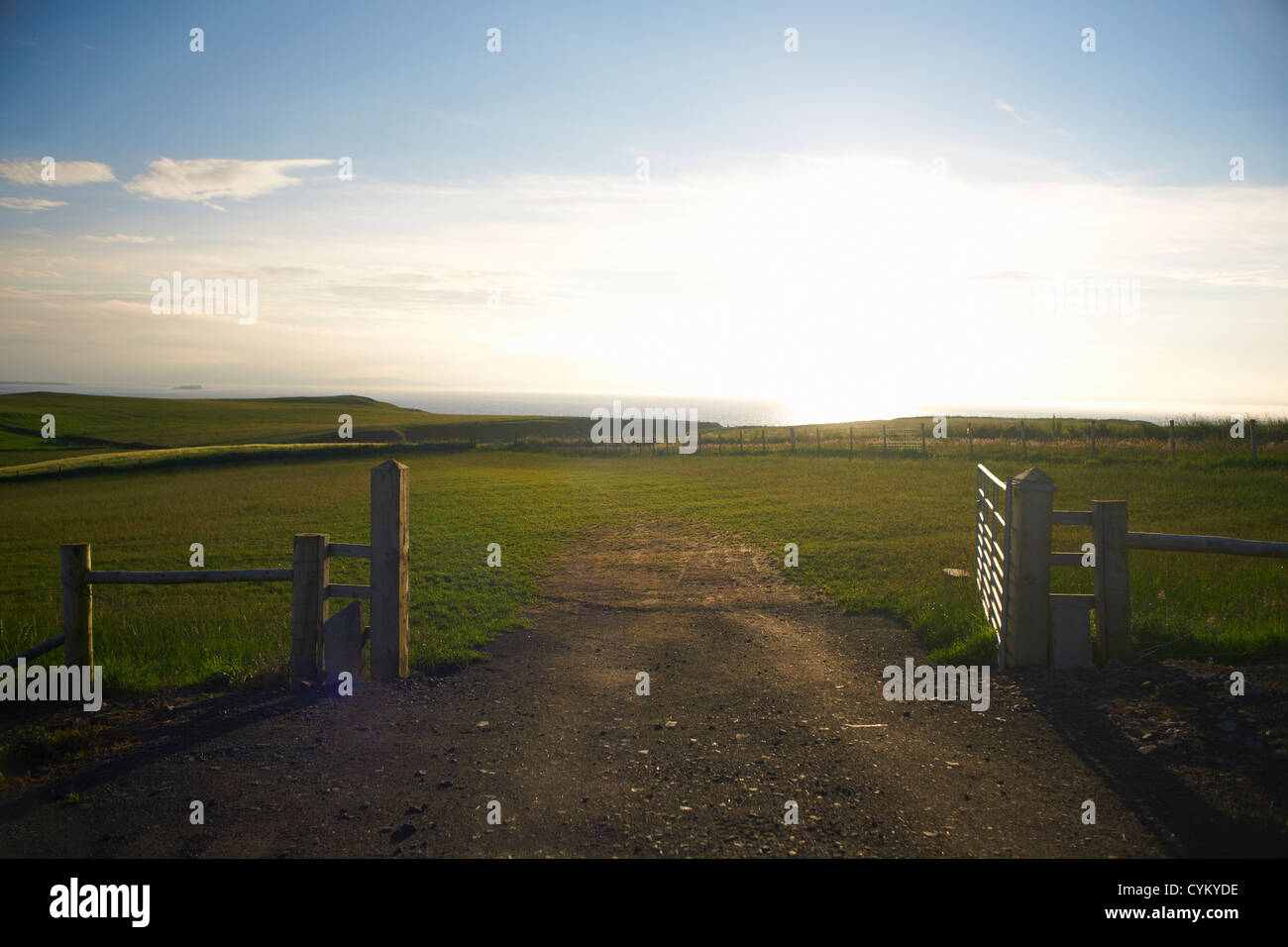 Dirt road in rural field Banque D'Images