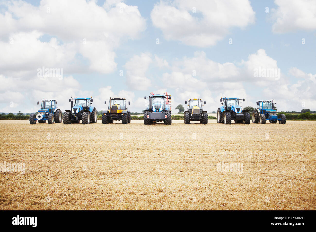 La récolte des cultures de céréales en tracteur field Banque D'Images