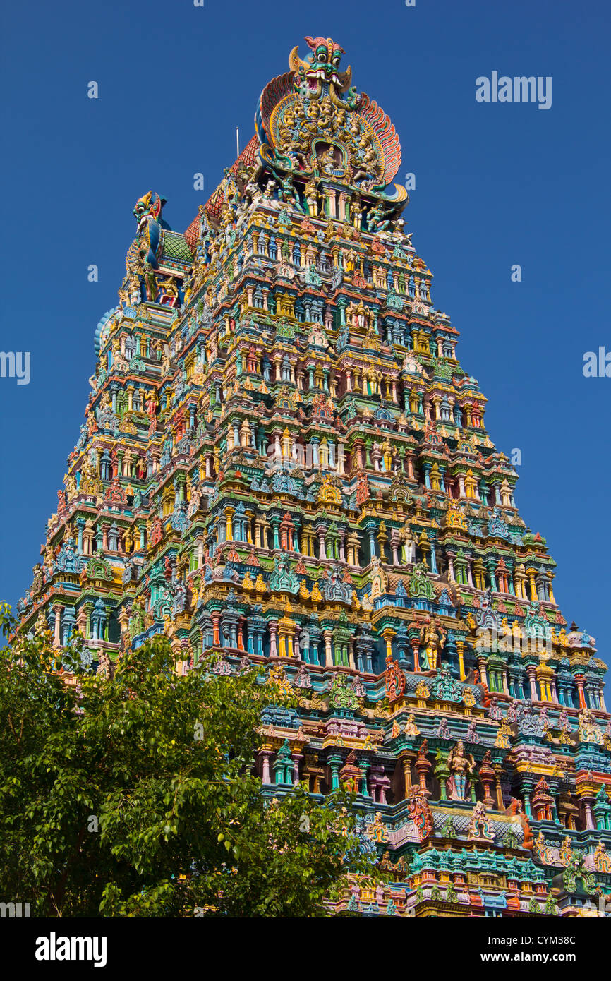 SRI MEENAKSHI TEMPLE OU GOPURAM MONTRANT UNE SÉRIE DE dieux hindous. Inde MADURAI Banque D'Images