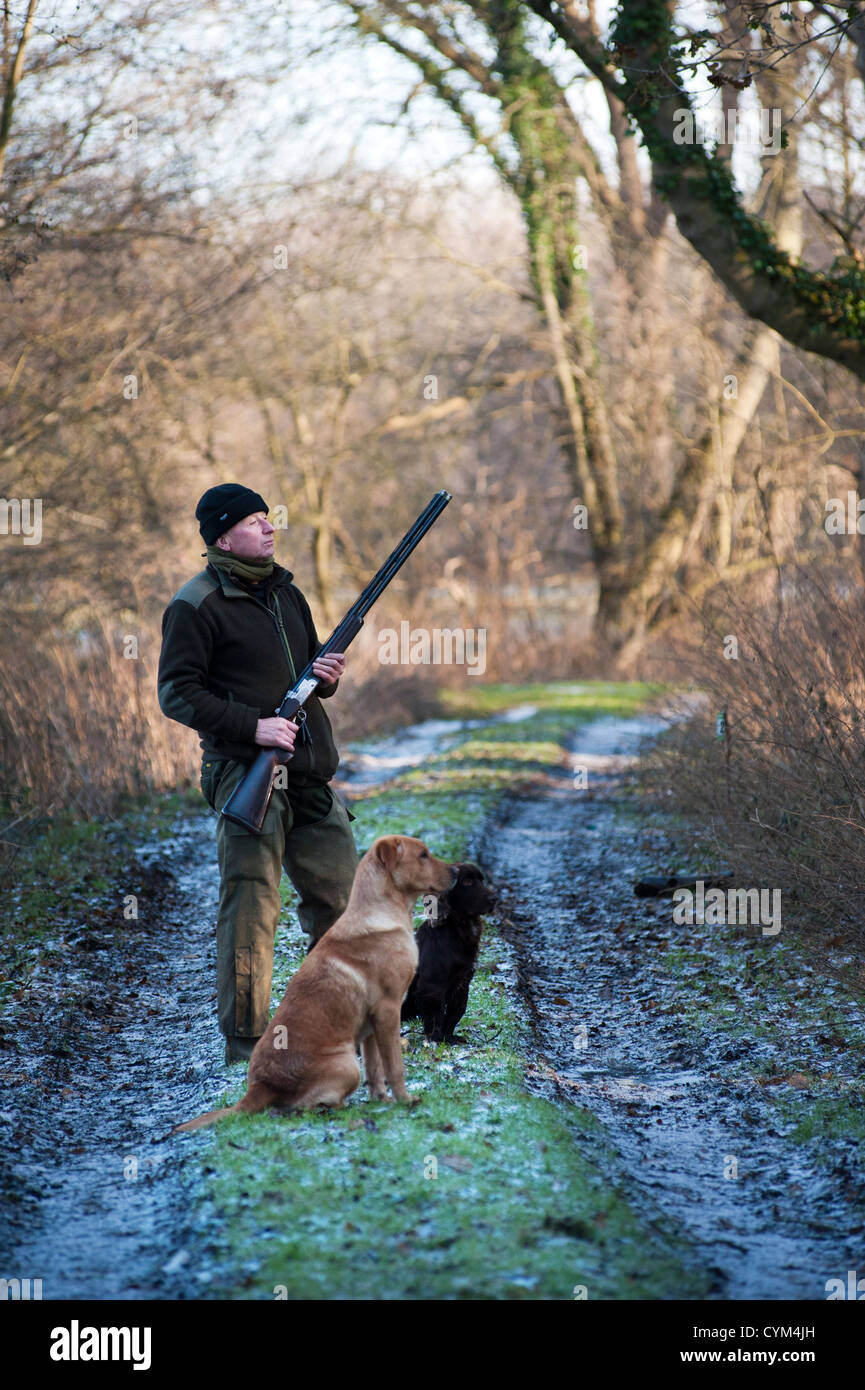 Homme debout avec des chiens sur pas de tir Banque D'Images