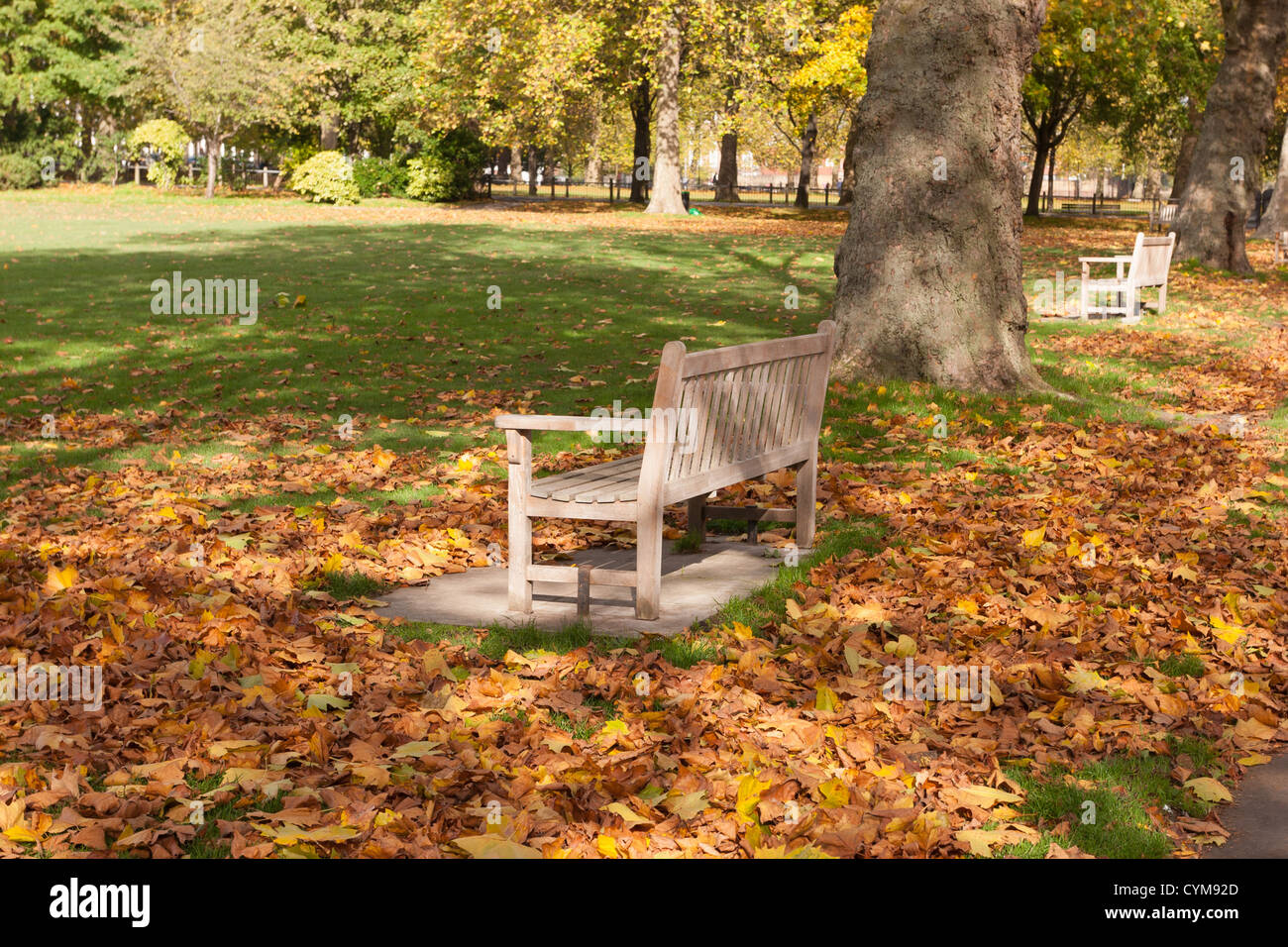 Deux bancs s'asseoir entre brown feuilles d'automne sur les champs de Highbury, Islington au nord de Londres Banque D'Images