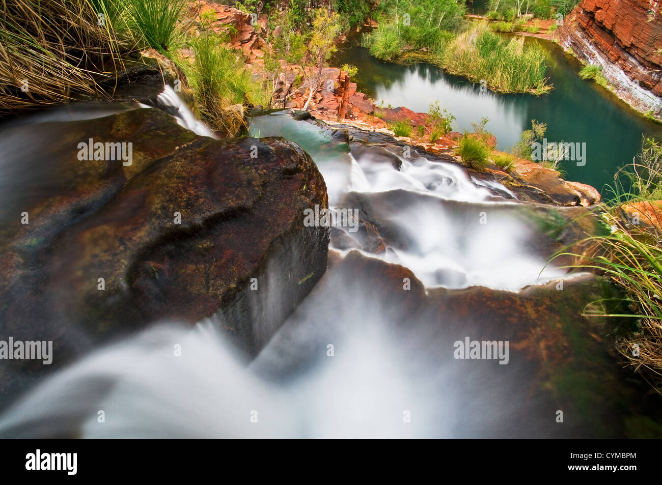 Vue sur Fortescue Falls en Dales Gorge. Banque D'Images