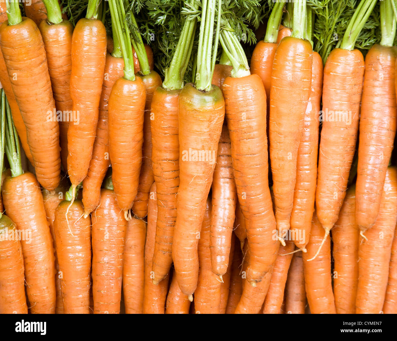 De nombreuses carottes orange contre un arrière-plan de feuilles Banque D'Images