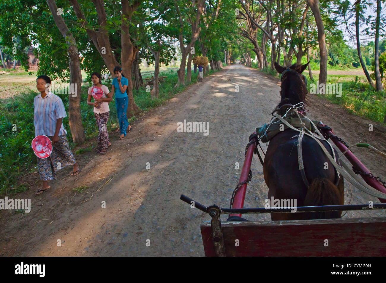 Voiture à cheval sont utilisés comme transport à INWA historique qui a servi de la capitol royaumes birmans depuis 400 ans - Myanmar Banque D'Images
