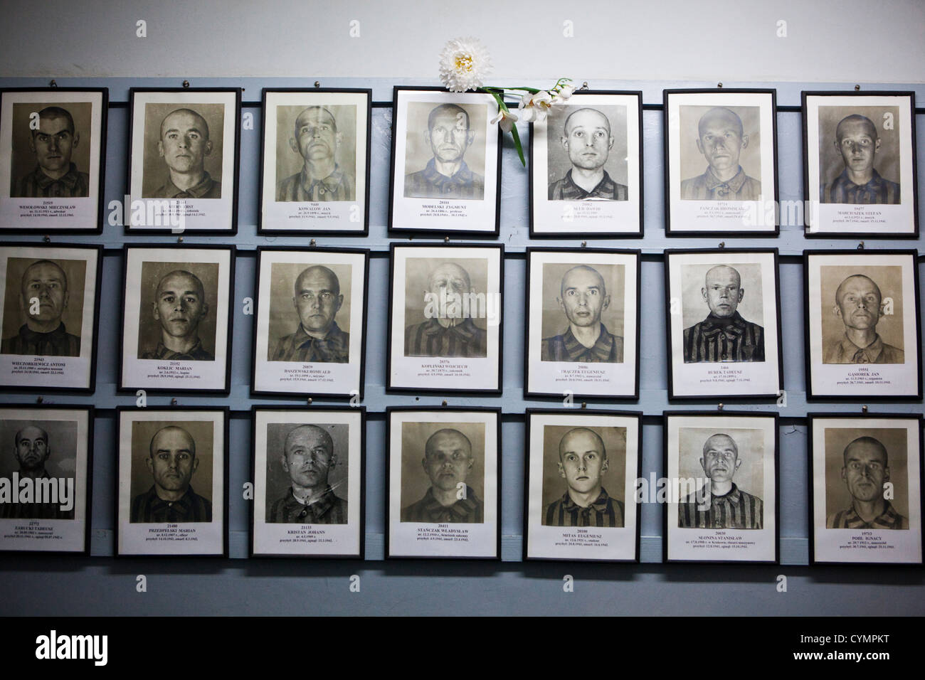Photographies du camp des hommes détenus à la fleur qui offre, d'Auschwitz, en Pologne. Banque D'Images