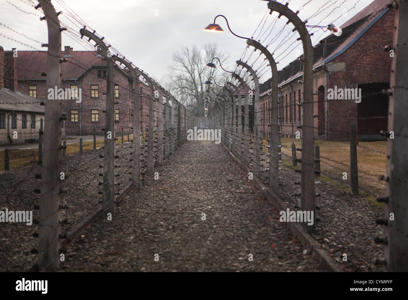 L'extérieur des barbelés, d'Auschwitz, en Pologne. Banque D'Images