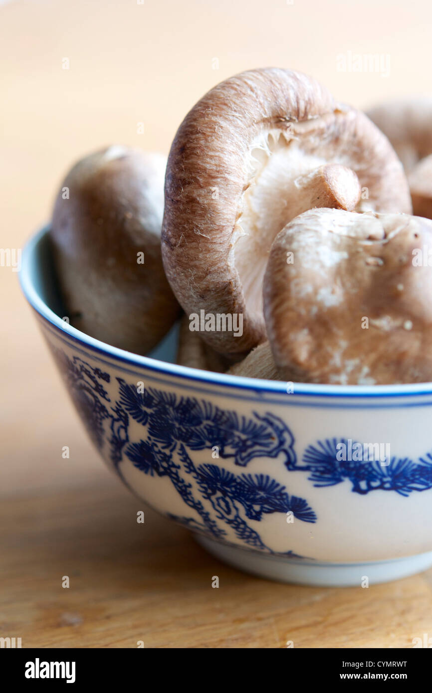 Fresh Shiitake (Lentinula edodes) champignons dans un bol. Banque D'Images