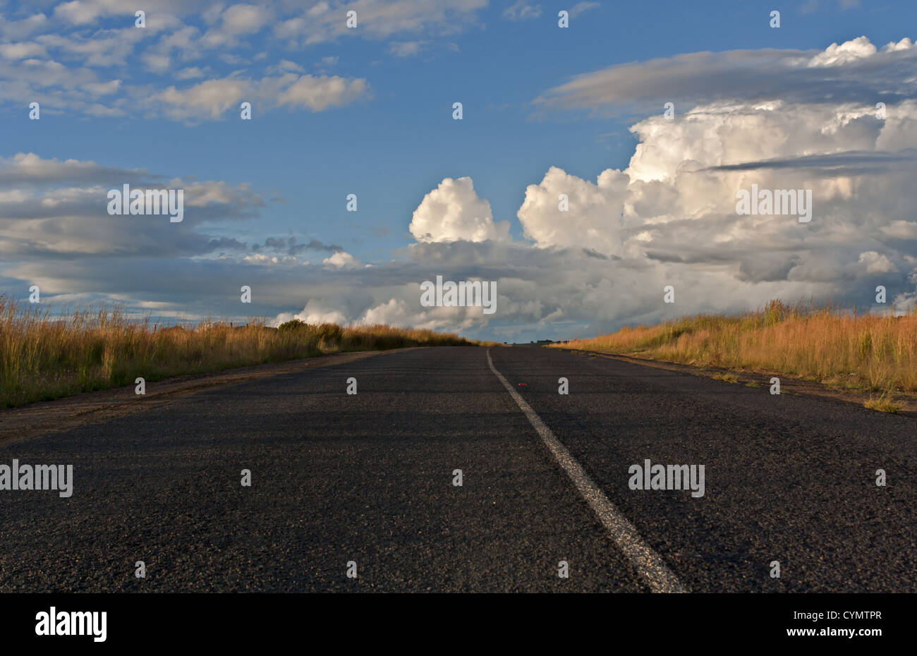 Route goudronnée menant à la distance en Afrique du Sud Banque D'Images