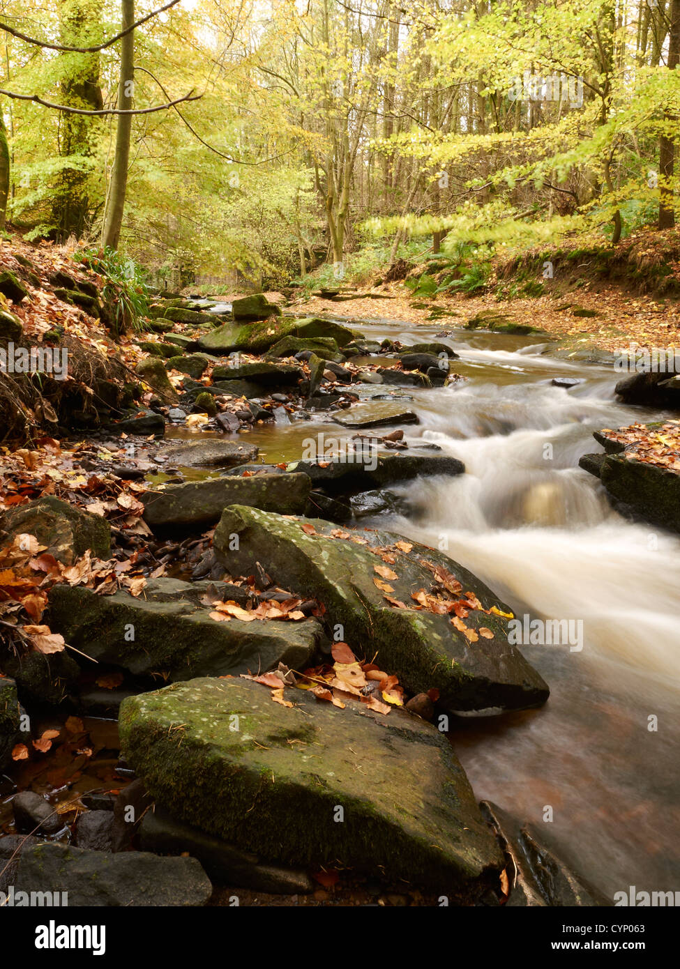 La rivière Dane à automne dans le parc national de Peak District UK Banque D'Images