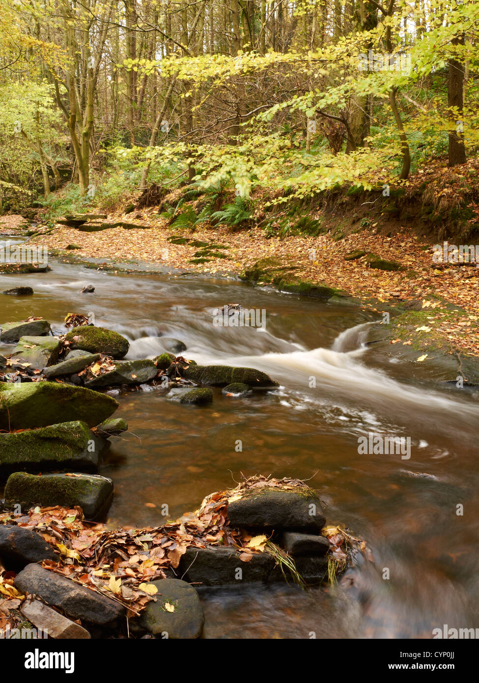 La rivière Dane à automne dans le parc national de Peak District UK Banque D'Images