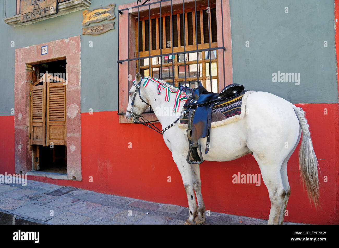 Le Mexique, Bajio, San Miguel de Allende, cheval sellé blanc attaché sur rue devant une cantina, un seul bar saloon avec les hommes de portes. Banque D'Images