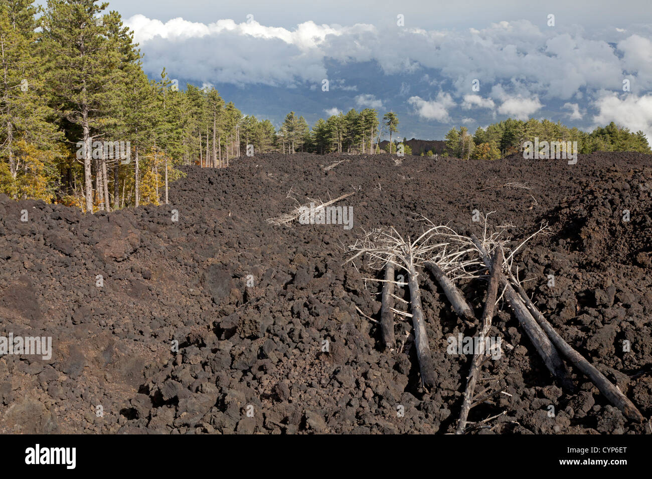 Coulée de l'Etna avec des arbres morts, Sicile, Italie Banque D'Images