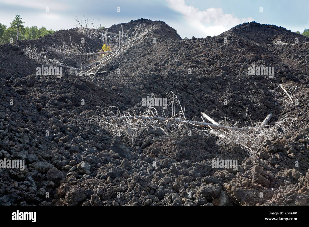 Coulée de l'Etna avec des arbres morts, Sicile, Italie Banque D'Images