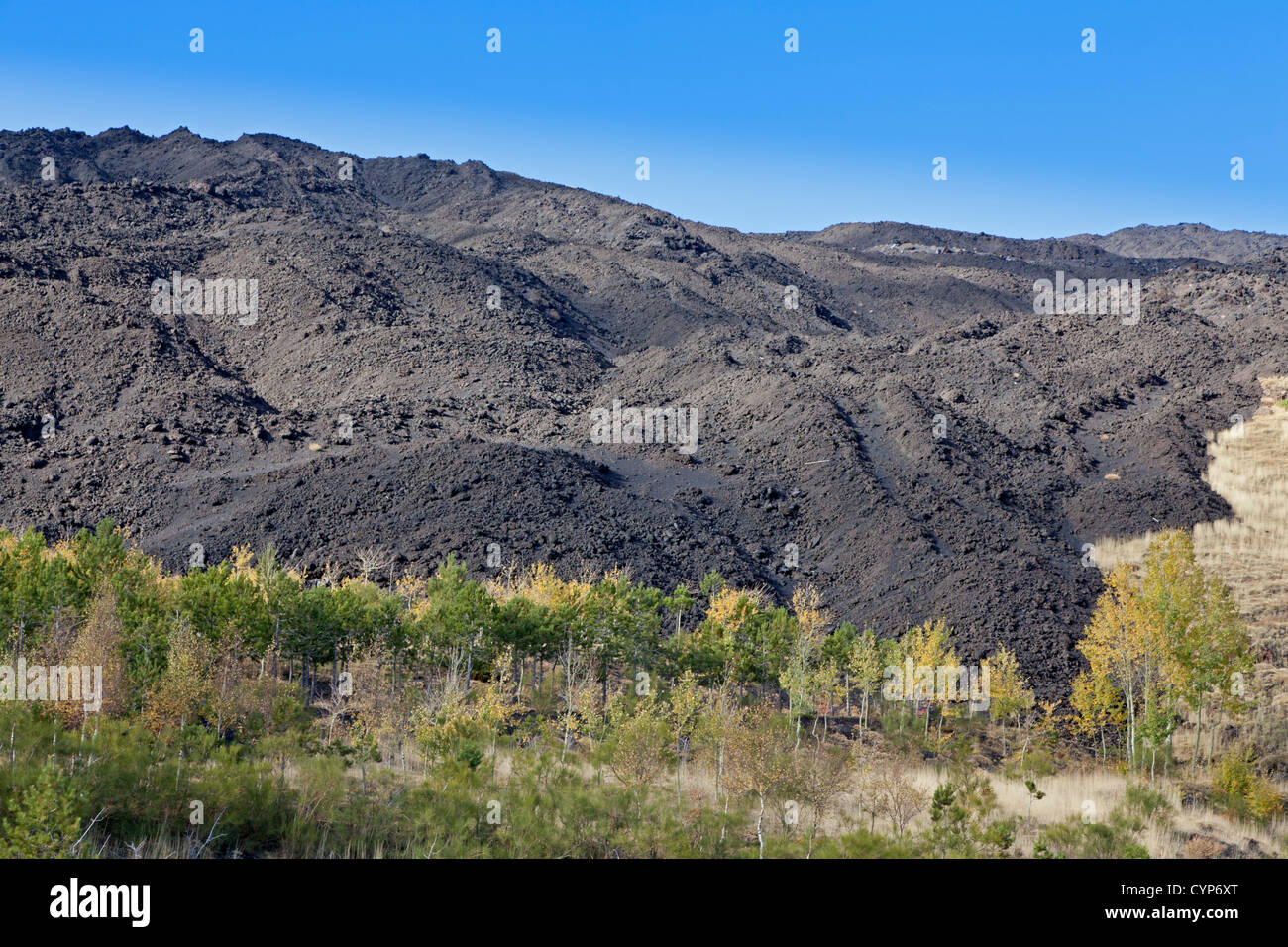 Le champ de lave de l'Etna, en Sicile, Italie Banque D'Images