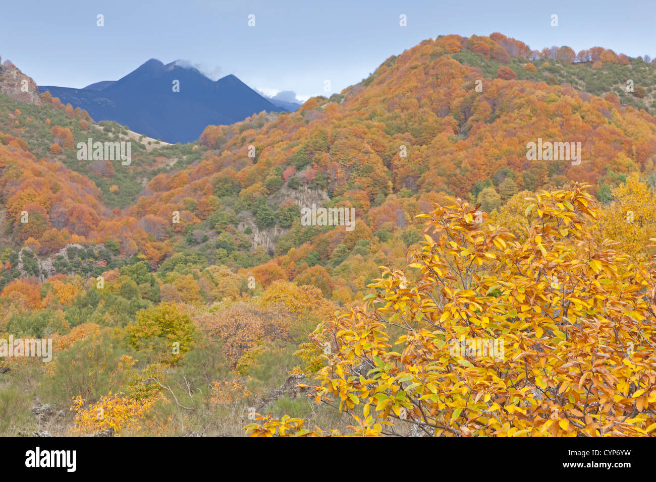 Atmosphère d'automne près de l'Etna, en Sicile, Italie Banque D'Images
