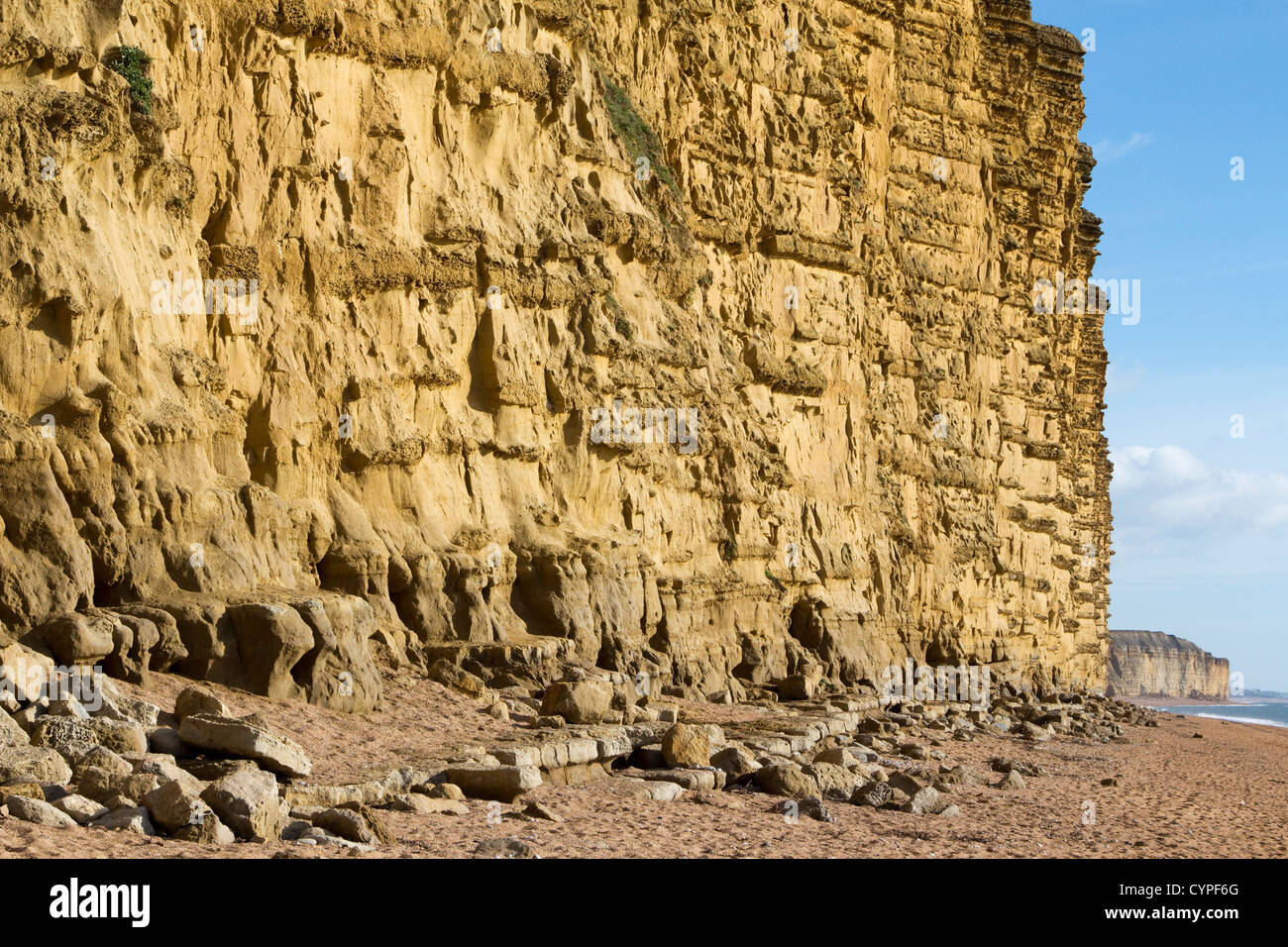 Plage de l'ouest de la baie de l'ouest de la falaise de grès jaune lumière du soir au sud de la côte jurassique du Dorset england uk go Banque D'Images