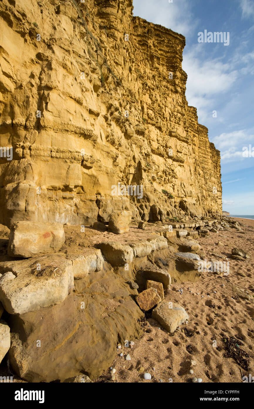 Plage de l'ouest de la baie de l'ouest de la falaise de grès jaune lumière du soir au sud de la côte jurassique du Dorset england uk go Banque D'Images