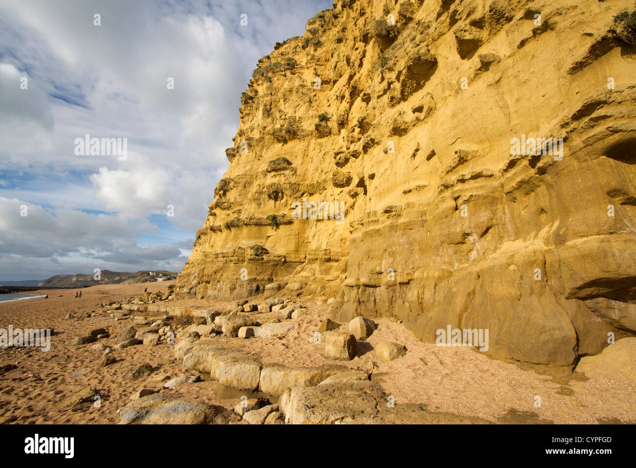 Plage de l'ouest de la baie de l'ouest de la falaise de grès jaune lumière du soir au sud de la côte jurassique du Dorset england uk go Banque D'Images