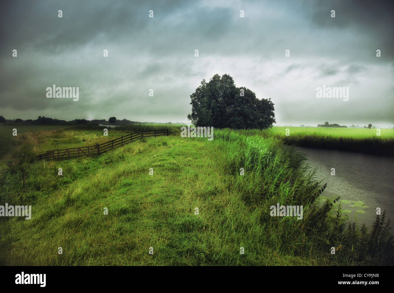 Par temps de pluie photo de paysage Banque D'Images