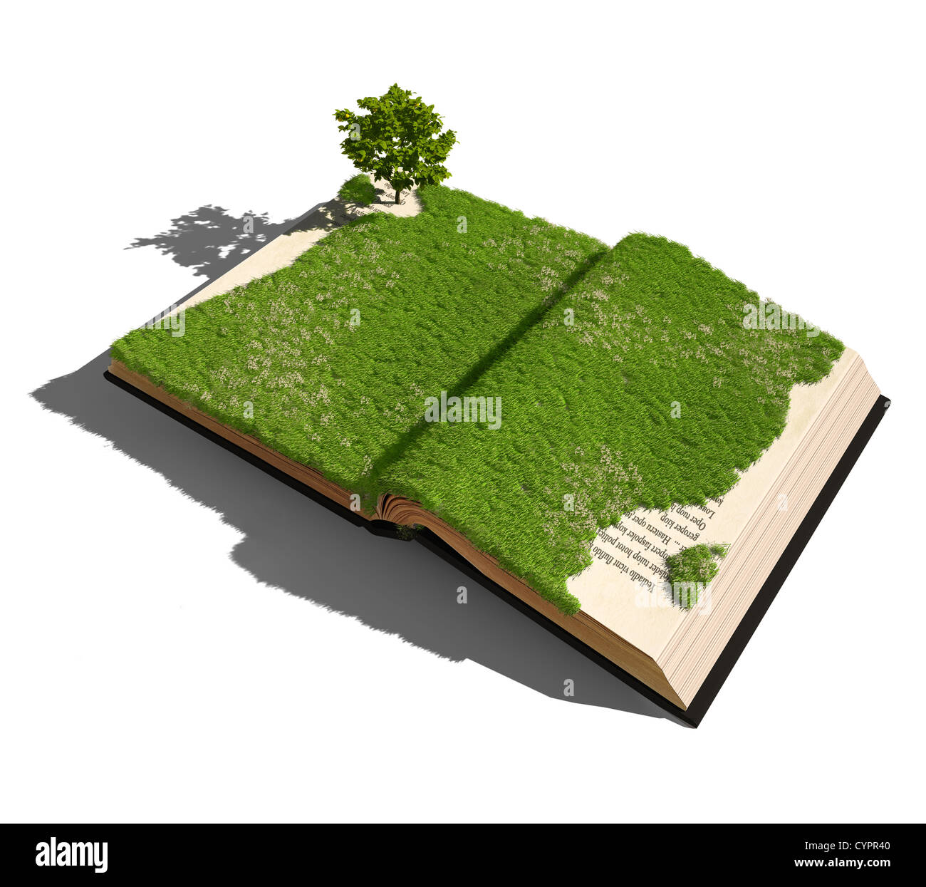 Livre ouvert avec l'herbe et d'arbres. concept illustré Banque D'Images