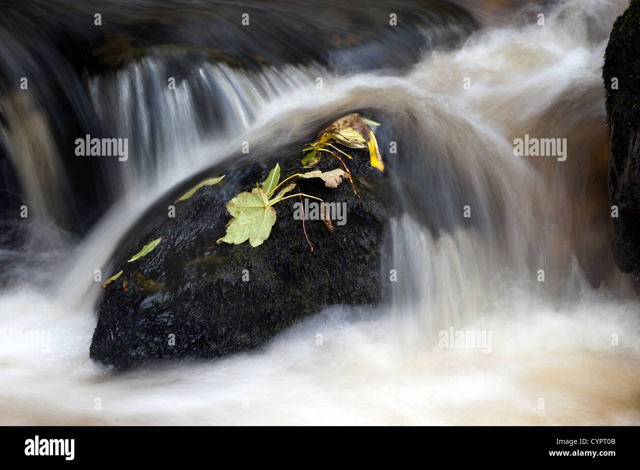 Cascades le long de la maison Scarr B6270 dans Swaledale entre Thwaite et Muker. Banque D'Images