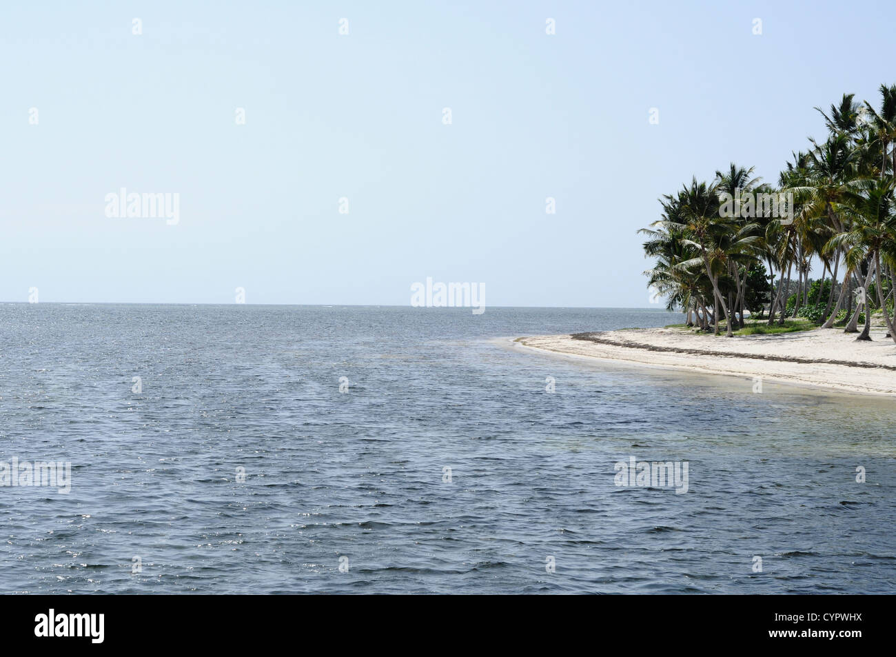 Belle Côte de sable avec des palmiers et du sable et de l'océan Banque D'Images
