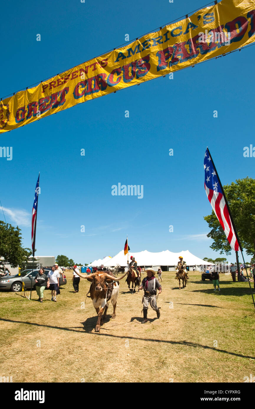Long Horn steer bovins lors de l'Assemblée Grand CIrcus Parade, Milwaukee, Wisconsin. Banque D'Images