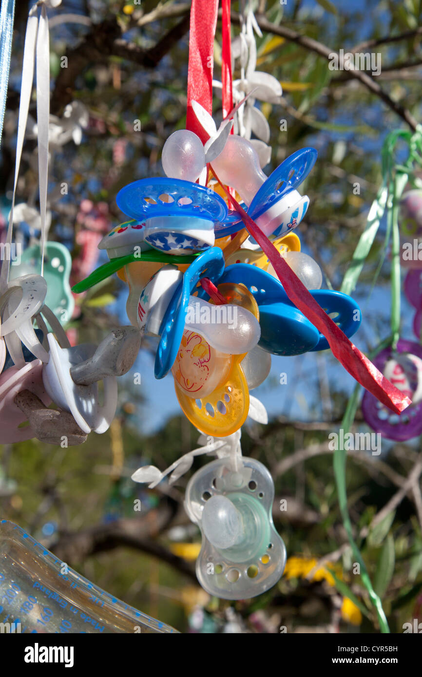 Sucette accroché sur un arbre Banque D'Images