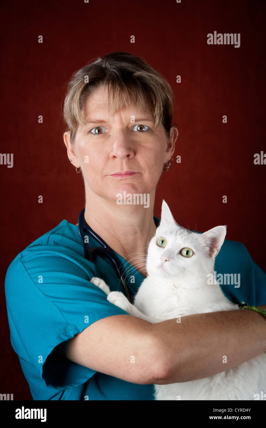 Vétérinaire officiel dans scrubs holding chat blanc aux yeux verts Banque D'Images
