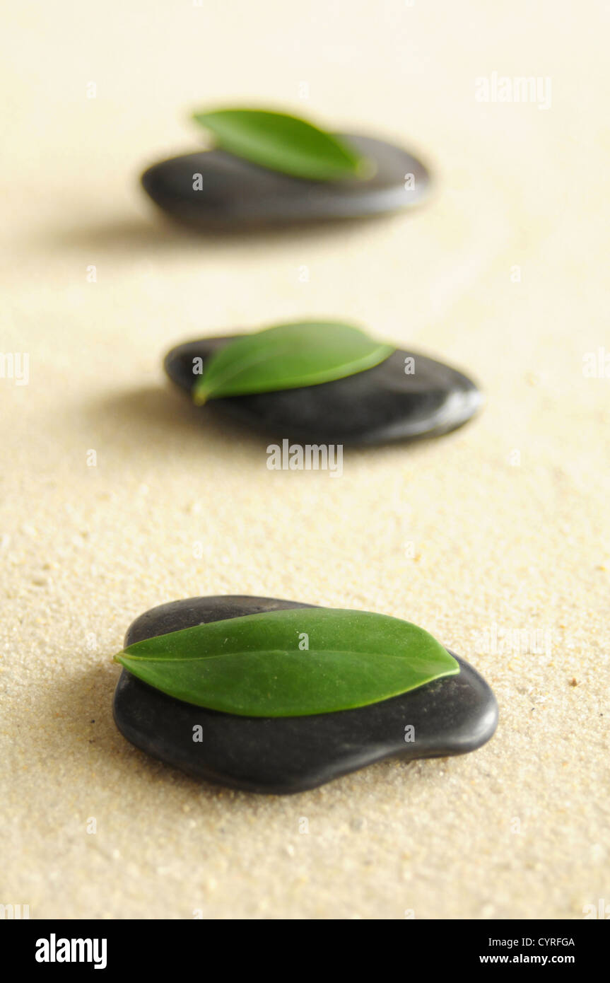 Des pierres et du sable dans une paisible vie encore Banque D'Images