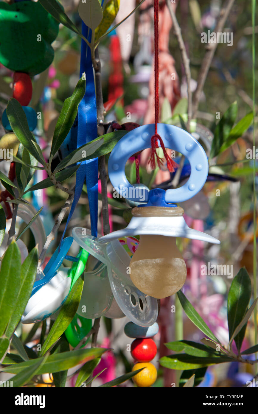 Sucette accroché sur un arbre Banque D'Images