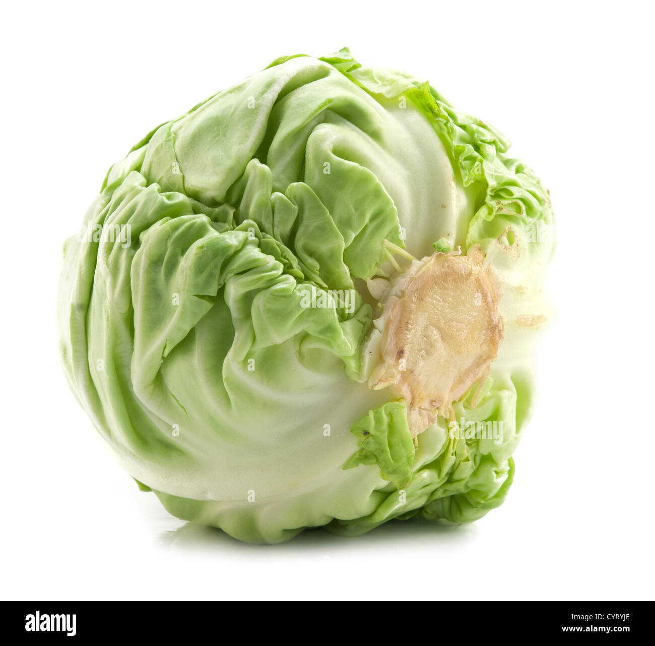 Chou vert entier isolated on white Banque D'Images