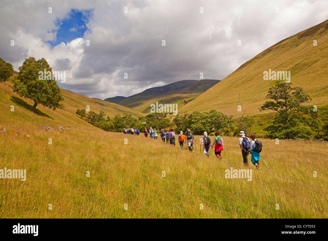 Un club à Glen Tilt, près de Blair Atholl. Beinn a'Ghlo est dans l'arrière-plan. Banque D'Images