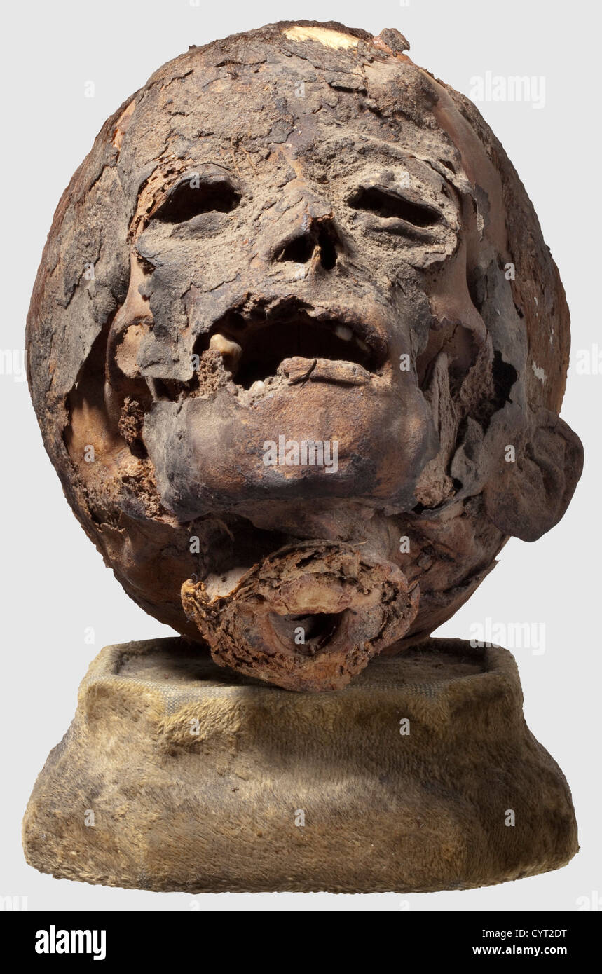 Crâne d'une momie égyptienne d'un enfant, troisième période intermédiaire, ca.1000 BC la tête préparée d'un enfant en conservant les cheveux rougeâtres-bruns dans les endroits.à l'arrière du crâne, il ya encore des morceaux des bandages avec lesquels la momie a été enveloppée.hauteur du crâne ca.16 cm.sous le verre dans une vitrine ébonisée Qui s'ouvre par un panneau coulissant.un panneau de verre manquant.Dimensions 28 x 21 x 36 cm.après la campagne égyptienne de Napoléon, l'archéologie égyptienne moderne a commencé en 1822 avec Jean François Champollion et Karl Richard Lepsius.les découvertes faites par ces hommes l,droits additionnels-Clearences-non disponible Banque D'Images