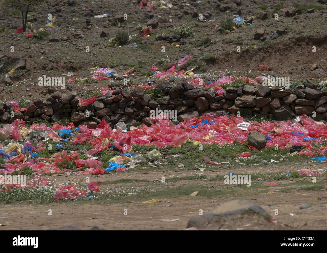 Voir De la couleur des sacs en plastique utilisés pour le qat, Ibb, Yémen Banque D'Images