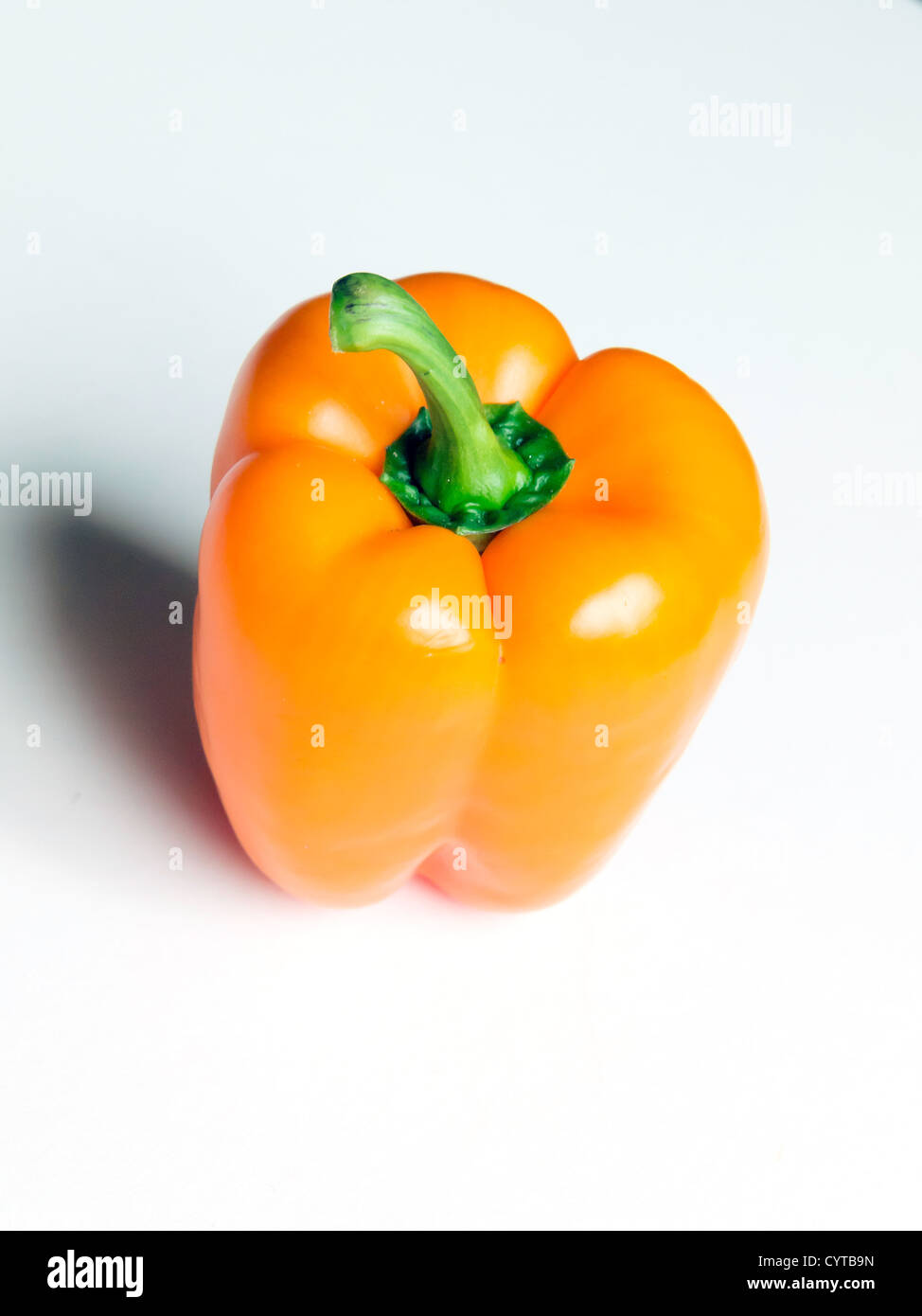 Poivron Orange Capsicum annum sur fond blanc Banque D'Images