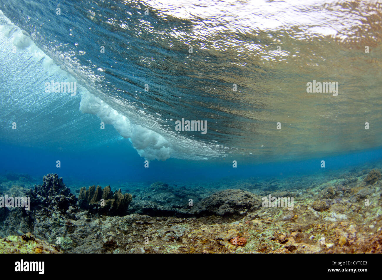 Déferlement des vagues sur le récif, vue de dessous la surface, Palikir, Pohnpei, États fédérés de Micronésie Banque D'Images