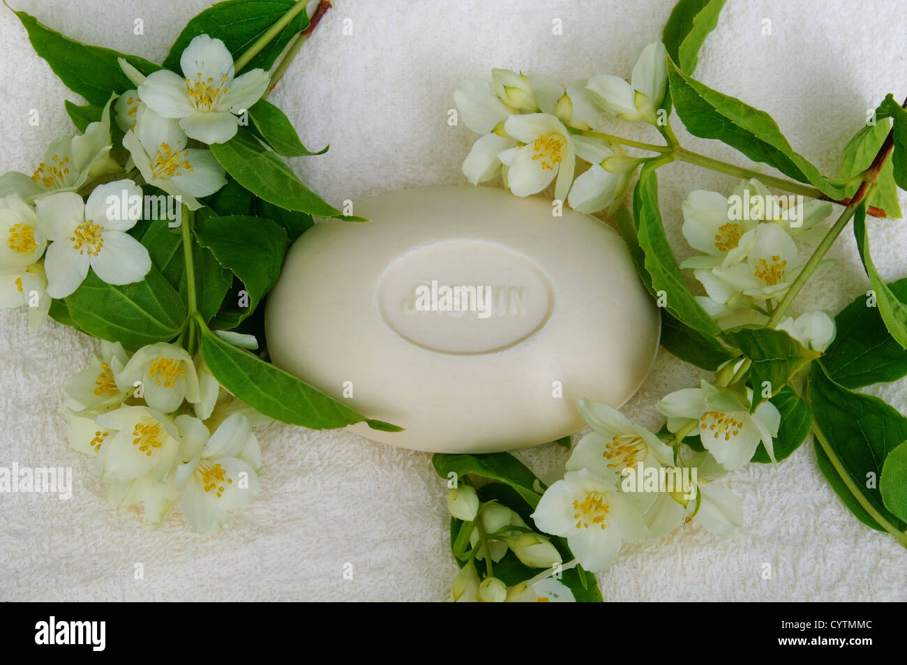 Un morceau de savon jasmin entouré de fleurs de jasmin Banque D'Images