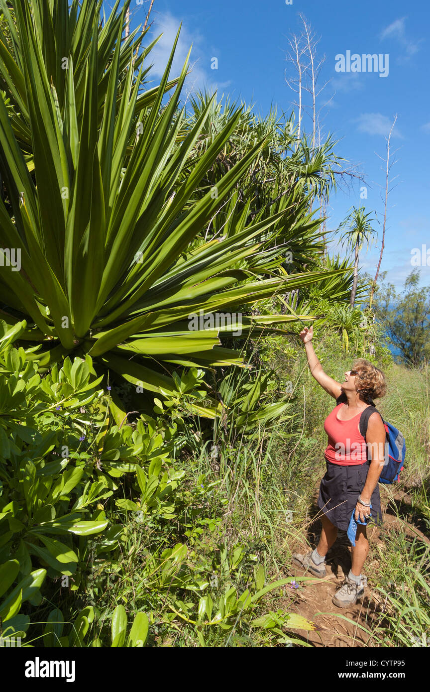 Elk284-8005v Hawaii, Kauai, côte de Na Pali. Kalalau trail, femme sur le sentier Banque D'Images
