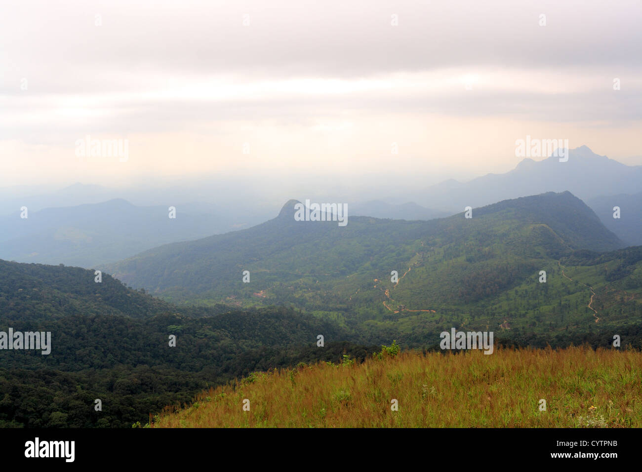 Agasthiar, koodam, Western Ghats, Sahyādri, Kerala, Inde Banque D'Images