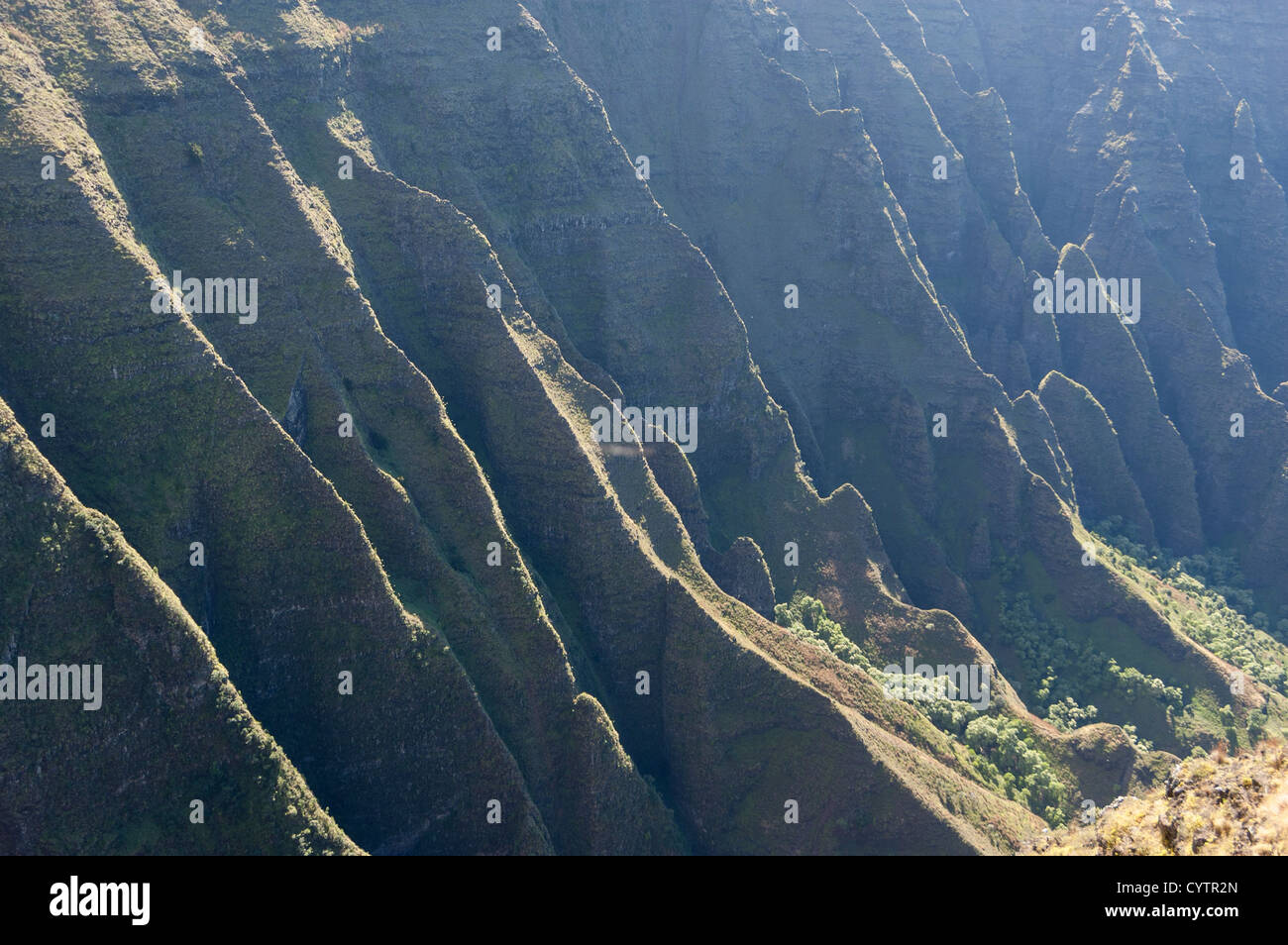 Elk284-7452, Kauai, Hawaii Kokee State Park, Awa'awaphui donnent sur le paysage Banque D'Images