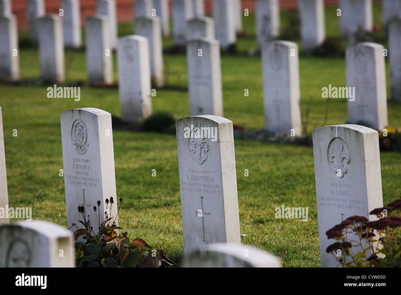 Malbork, Pologne 10, novembre 2012 Les célébrations du Jour du Souvenir en Pologne . Visites personnes Commonwelth britannique Cememetry dans Malbork et allumer des bougies sur les tombes. Cimetière de guerre du Commonwealth de Malbork contient 232 sépultures de la Seconde Guerre mondiale. Il y a aussi 13 sépultures de la Première Guerre mondiale qui ont été déplacées de Gdansk (Dantzig) Cimetière de garnison en 1960. Le cimetière contient également le mémorial de Malbork , commémorant les victimes de la Première Guerre mondiale 39 enterré à Heilsberg (Cimetière des prisonniers de guerre a changé en 1953 pour le Cimetière de guerre Lidsbark) où leurs tombes ne pouvait plus être maintenue. Banque D'Images