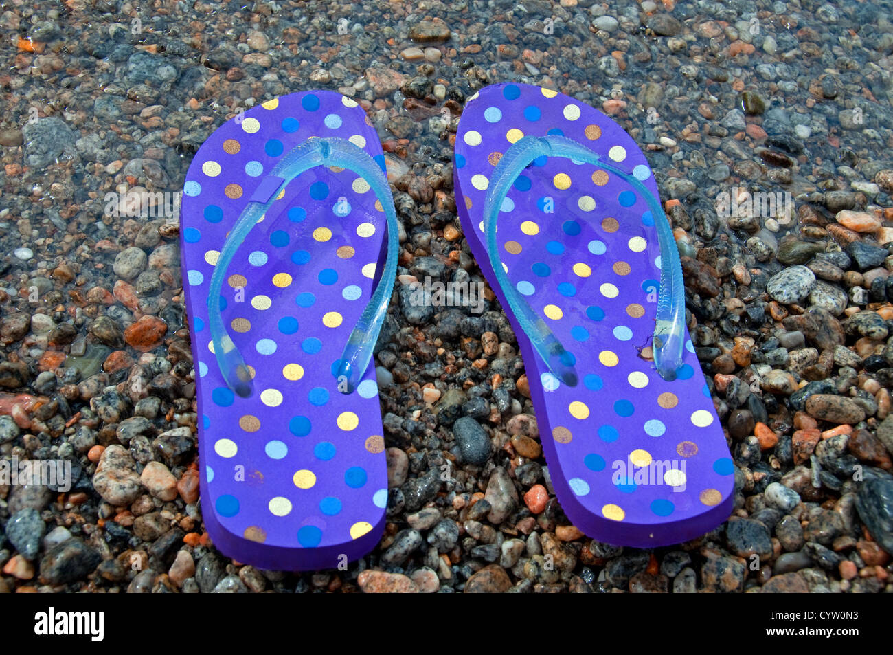 Tongs bleu à pois sur une plage rocheuse Banque D'Images