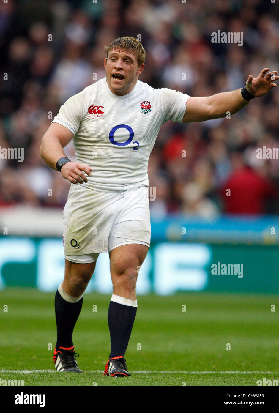 TOM YOUNGS ANGLETERRE V FIDJI TWICKENHAM MIDDLESEX ANGLETERRE RU 10 Novembre 2012 Banque D'Images
