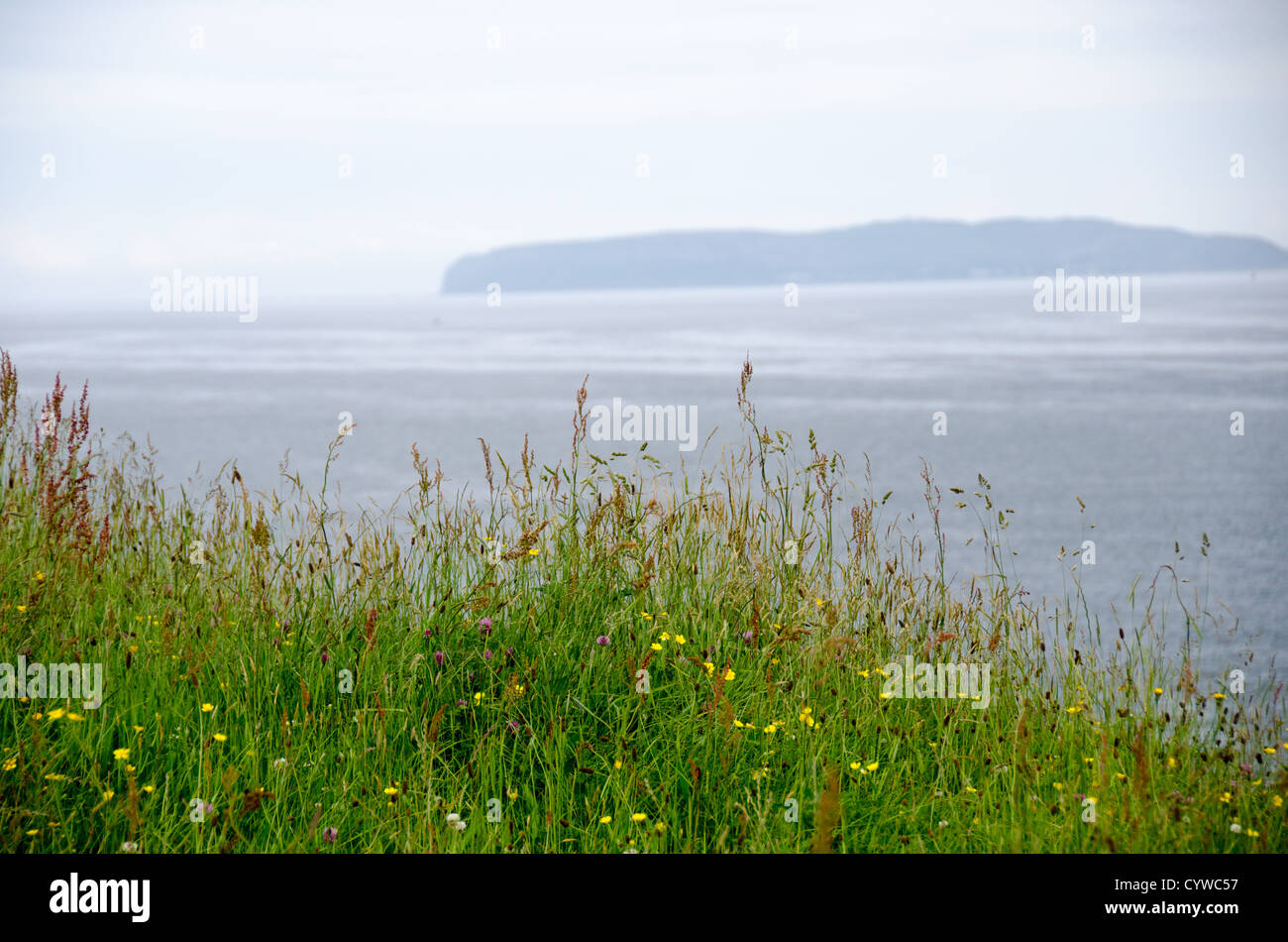BEAUMARIS, pays de Galles — les eaux du détroit de Menai s'étendent de Beaumaris sur l'île d'Anglesey. Cet étroit canal d'eau de marée sépare Anglesey du pays de Galles continental, avec les montagnes de Snowdonia visibles à l'horizon. Le détroit relie la mer d'Irlande à la baie de Caernarfon et est connu pour ses forts courants de marée. Beaumaris, situé sur la côte sud-est d'Anglesey, se trouve le long de cette voie navigable qui a servi de route maritime importante pendant des siècles. La ville est située à proximité du continent gallois de l'autre côté du détroit. Banque D'Images